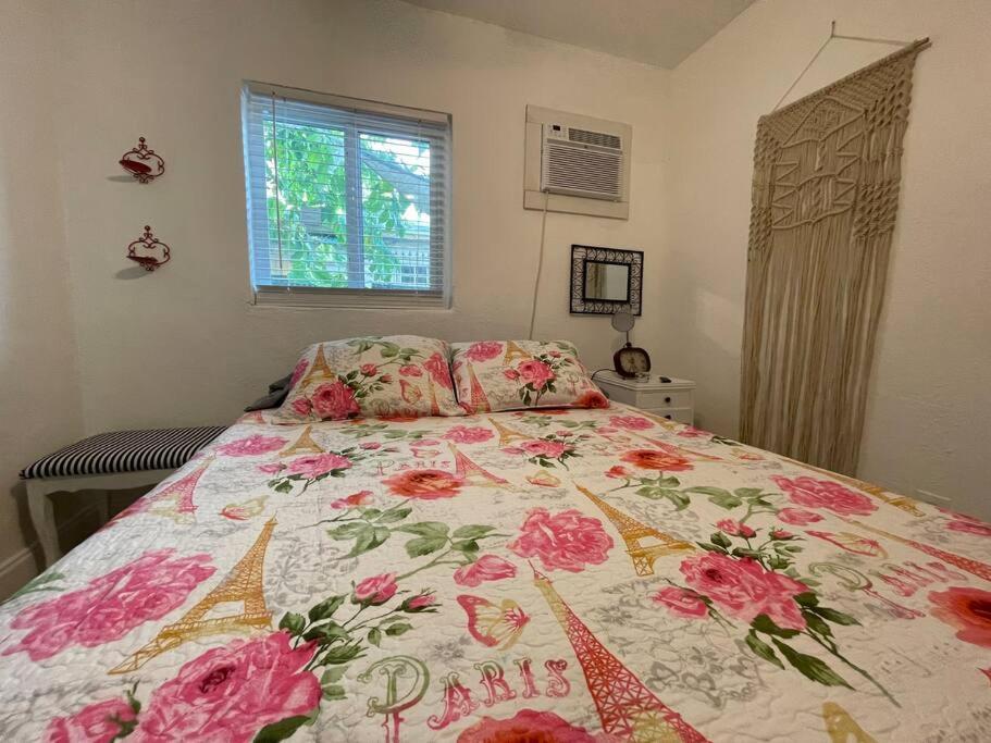1 Bedroom Apt Near Coconut Grove Miami Eksteriør billede